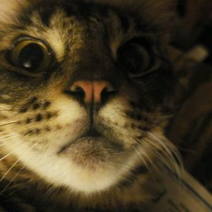 Meet your Posher, Aaron